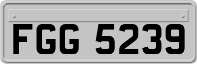 FGG5239