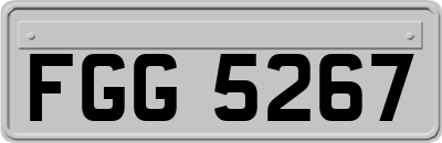 FGG5267