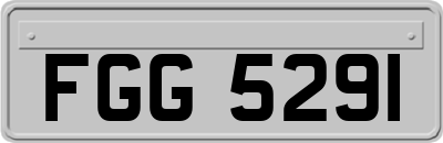 FGG5291