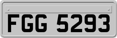FGG5293