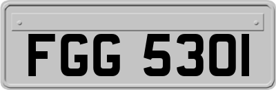FGG5301