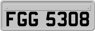 FGG5308