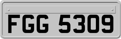 FGG5309