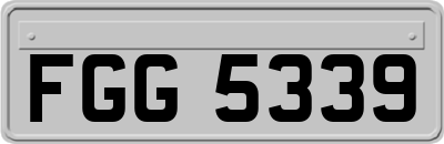 FGG5339