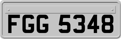 FGG5348