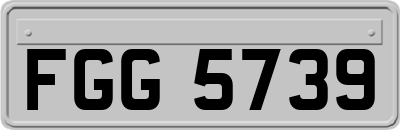 FGG5739