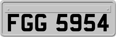 FGG5954