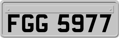 FGG5977