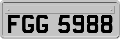 FGG5988