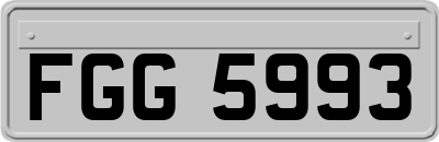 FGG5993