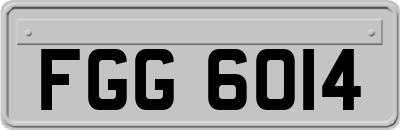 FGG6014