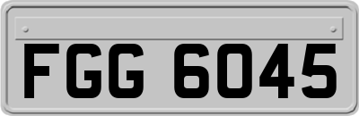 FGG6045