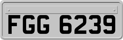 FGG6239