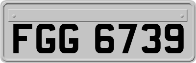 FGG6739