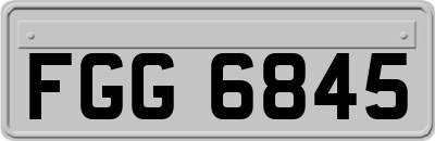 FGG6845