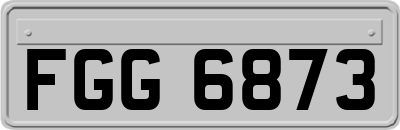 FGG6873