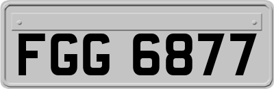 FGG6877