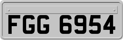FGG6954
