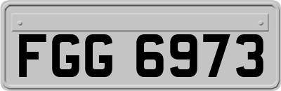 FGG6973