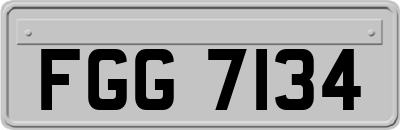 FGG7134