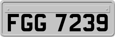 FGG7239