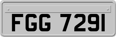 FGG7291