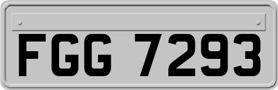 FGG7293