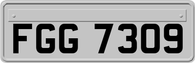 FGG7309