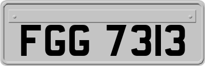 FGG7313