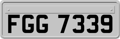 FGG7339