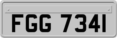 FGG7341
