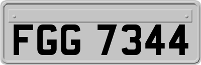 FGG7344