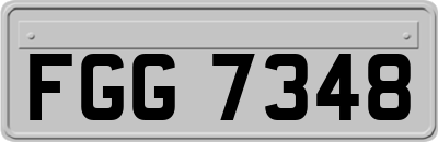 FGG7348