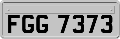 FGG7373