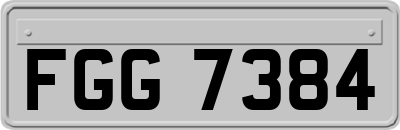 FGG7384