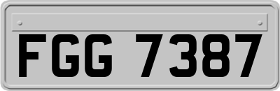 FGG7387