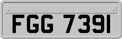 FGG7391