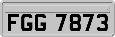 FGG7873