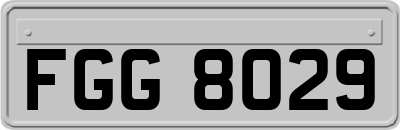 FGG8029