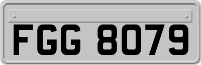 FGG8079