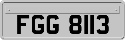 FGG8113