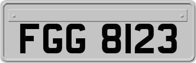 FGG8123