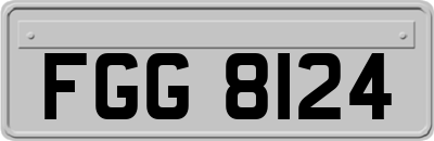 FGG8124