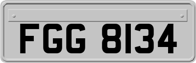 FGG8134