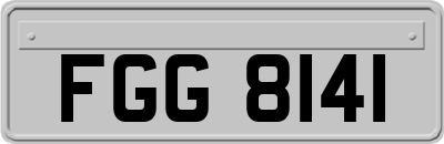 FGG8141