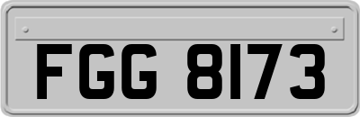 FGG8173