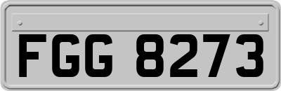 FGG8273
