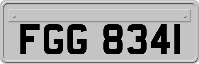 FGG8341