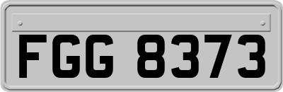 FGG8373
