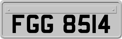 FGG8514